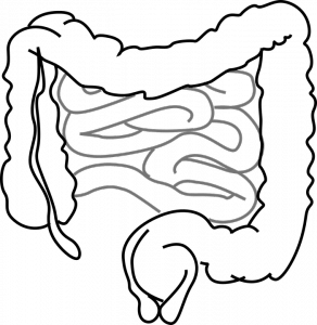 Disbiosi intestinale sintomi Disbiosi intestinale sintomi